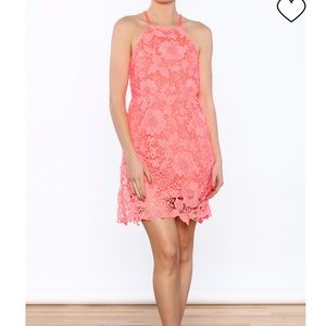 Acemi peach lace tank sheath dress